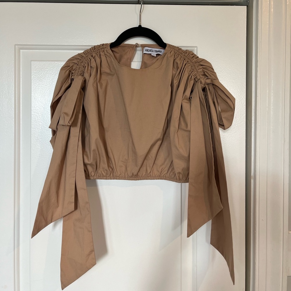 Andrea Iyamah crop top